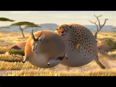 fat animals animation